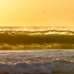 yellow cali sunset surf